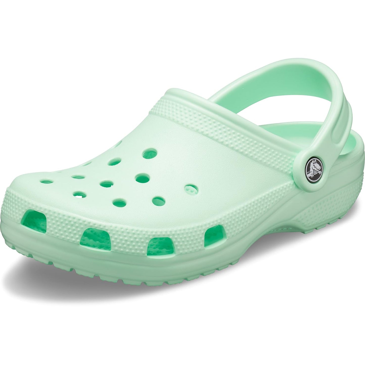 Crocs Unisex Adult Classic Clog